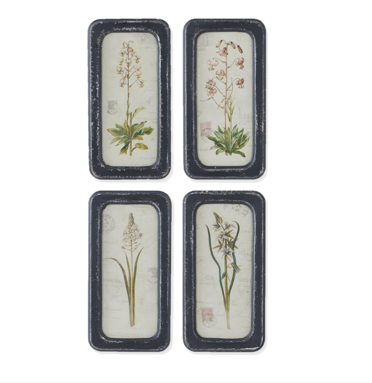 Black Framed Botanical Prints