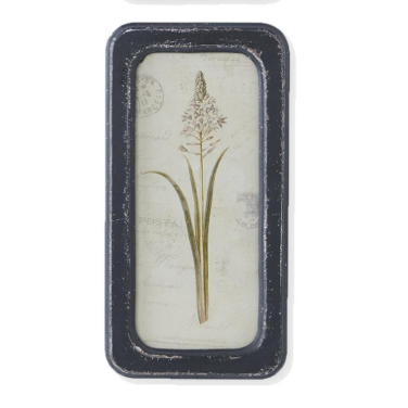 Black Framed Botanical Prints