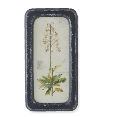 Black Framed Botanical Prints