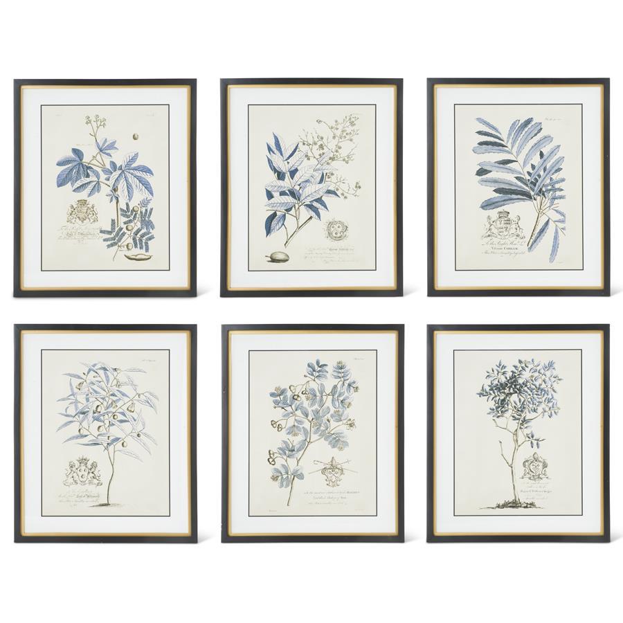 Black & Gold Framed Blue Arbor Prints (6 Styles)