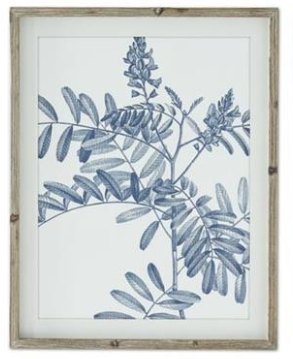 Wood Framed Blue & White Botanical Prints