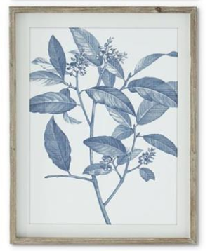 Wood Framed Blue & White Botanical Prints