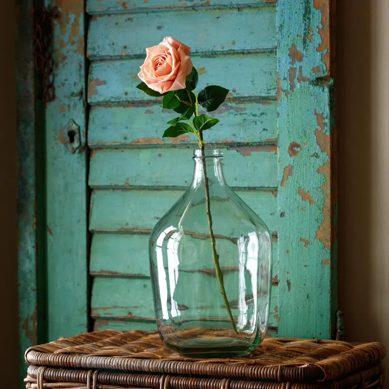 Dutchess Rose Cameo Stem