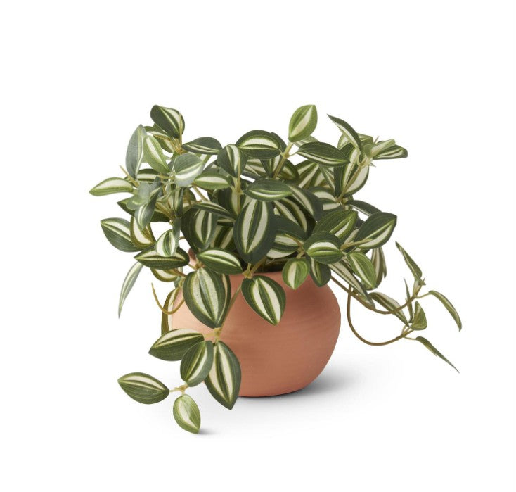 Ceramic Potted Plants