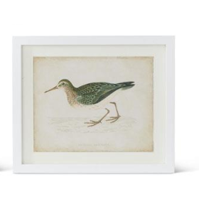 White Wood Framed Coastal Bird Prints (6 Styles)
