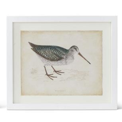 White Wood Framed Coastal Bird Prints (6 Styles)