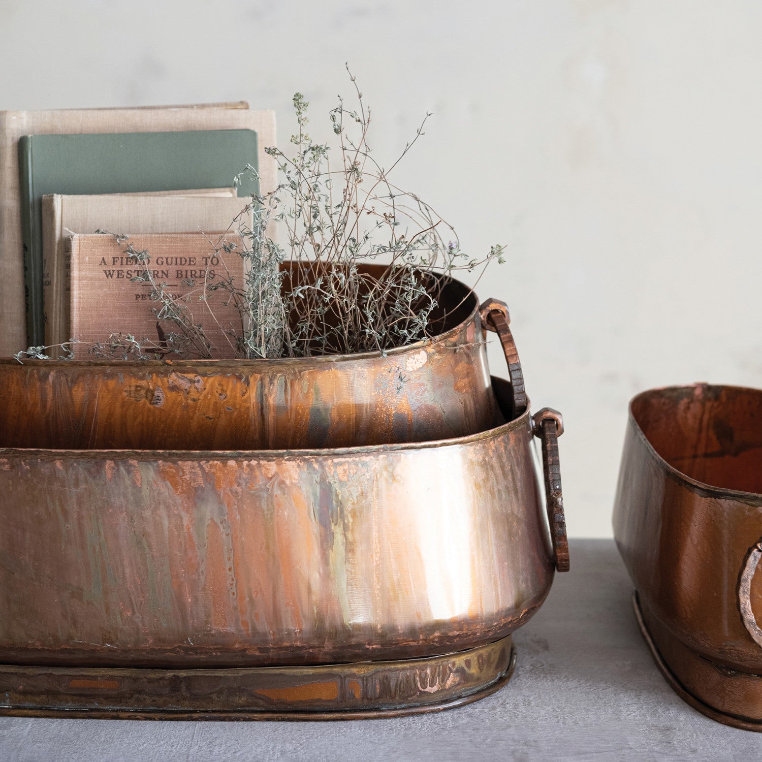 Metal Planters, 3 Sizes
