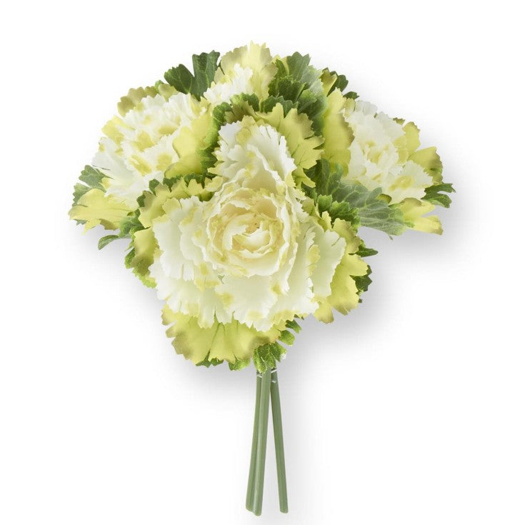 11.5 Inch Cream Cabbage Bundle (3 Stems)