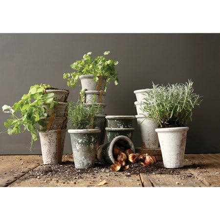 Distressed Clay Planter, Black/green
