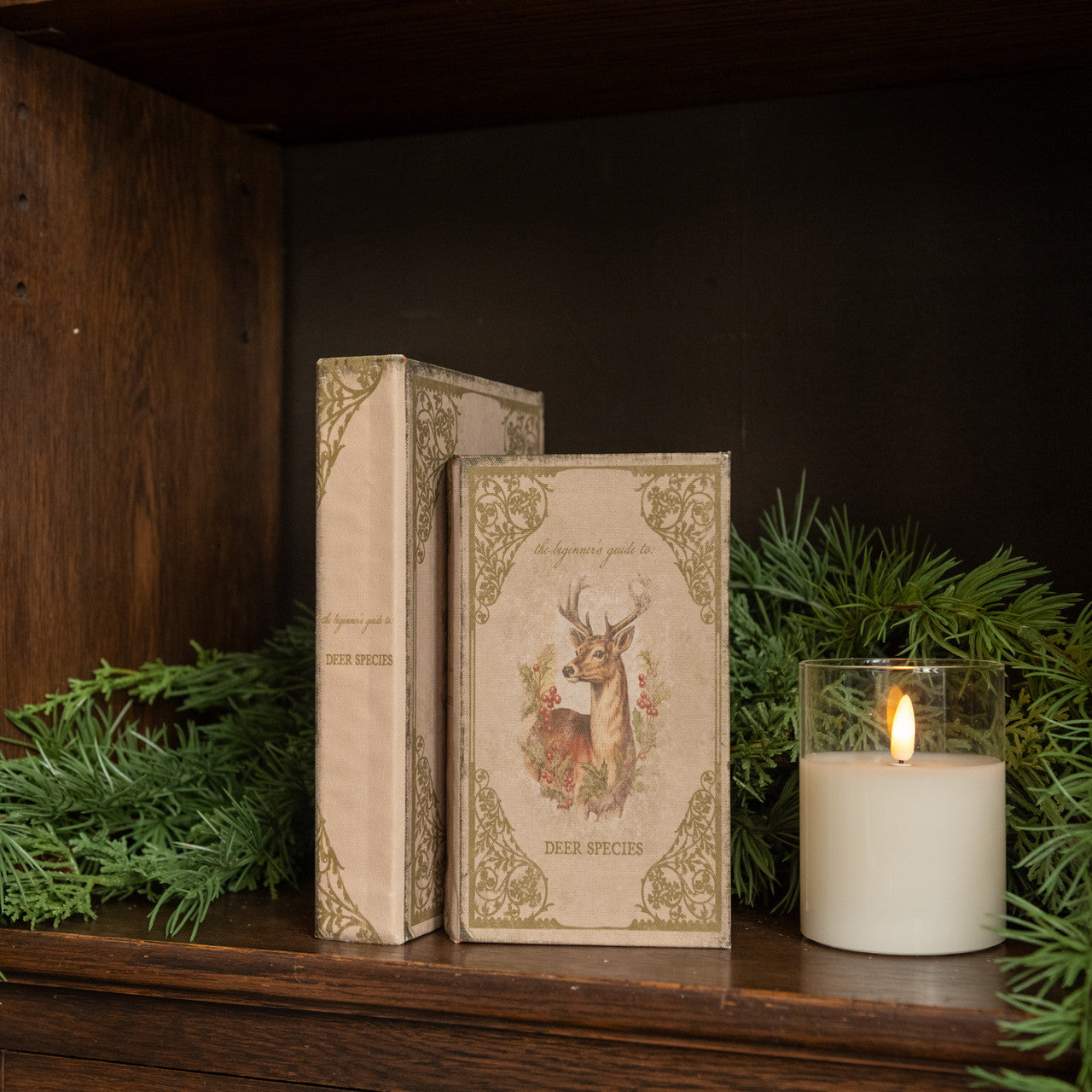 THE BEGINNER'S GUIDE TO DEER SPECIES JOURNAL