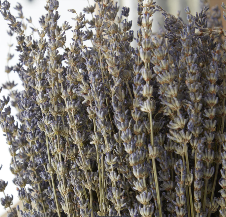 Dried Lavender Bundle