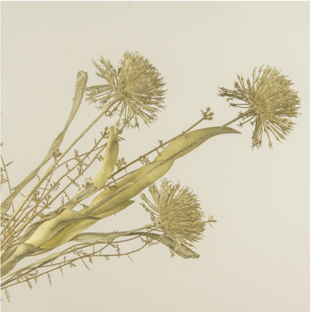 20.5" FERNWOOD WILD LEEK SPRAY
