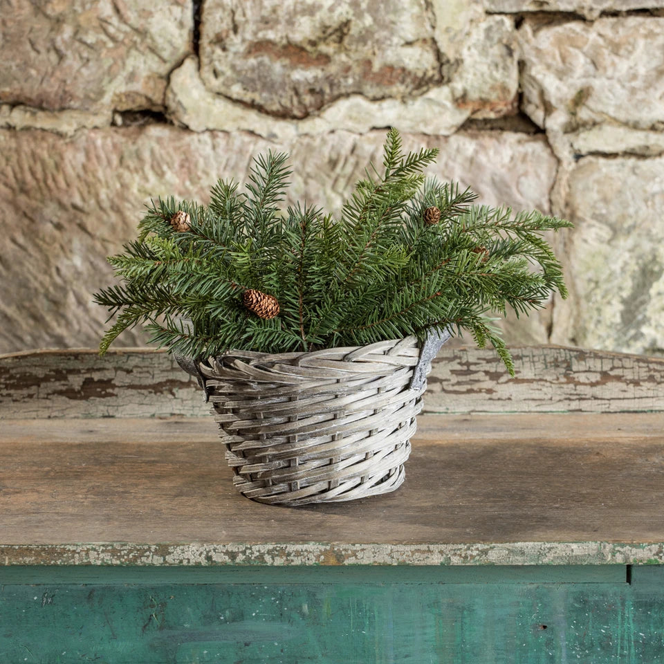 DOUGLAS FIR SPRAY W/ PINECONES