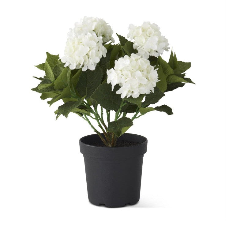 5 Bloom White Potted Hydrangea w/Faux Dirt