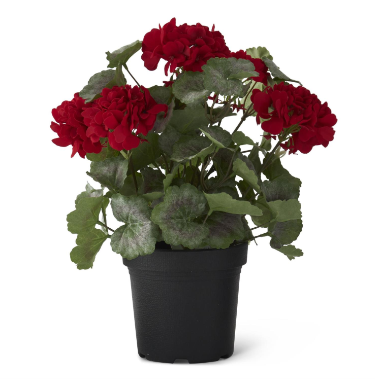 Red Potted Geranium w/Faux Dirt