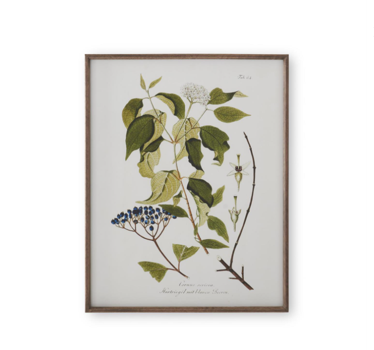 Dark Wood Framed White & Green Botanical Prints