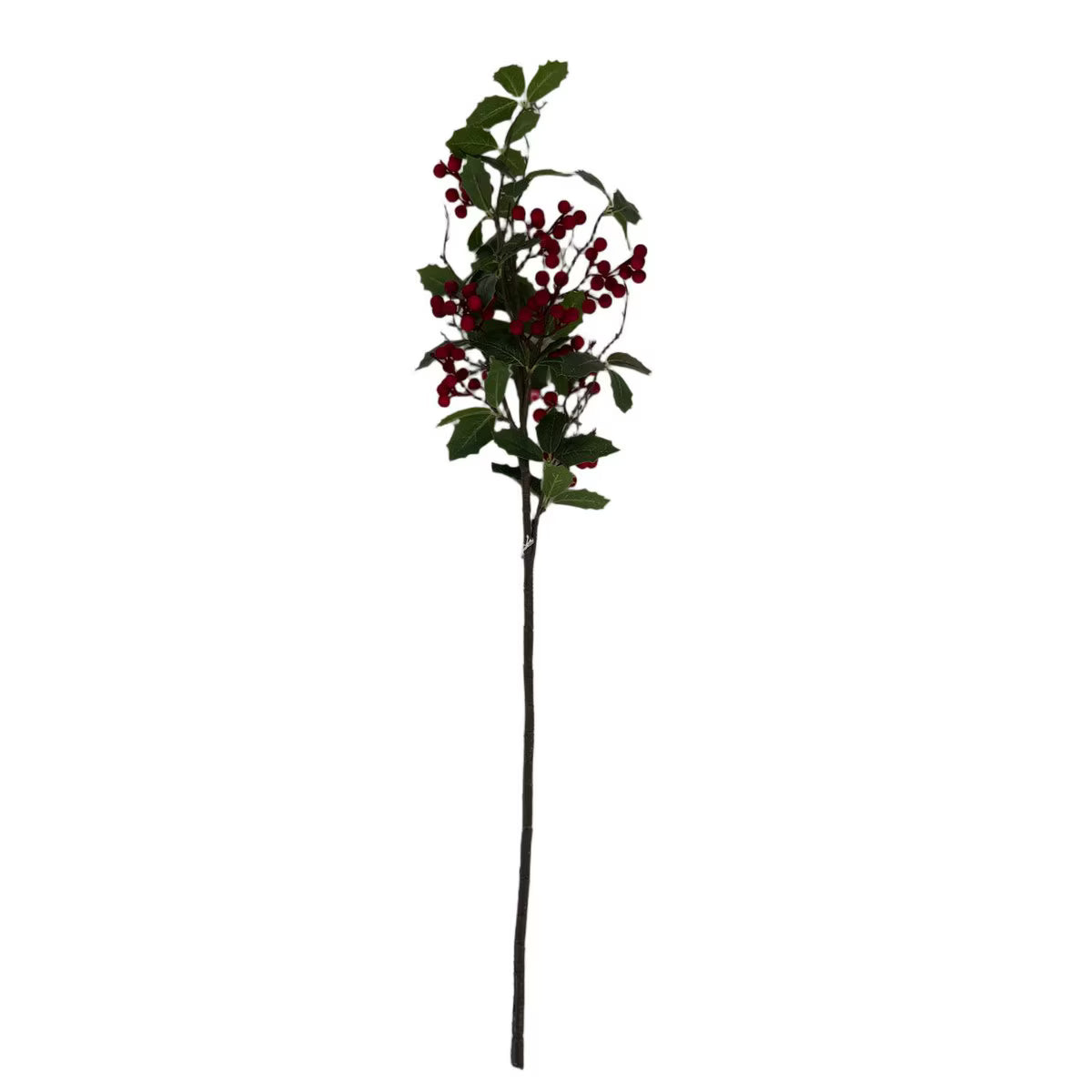 Holly & Red Berry Stem