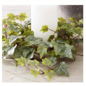 Ivy Candle Ring/Wreath