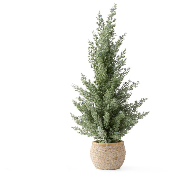 Frosted Juniper Trees w/Blue Berries In Ceramic Pot