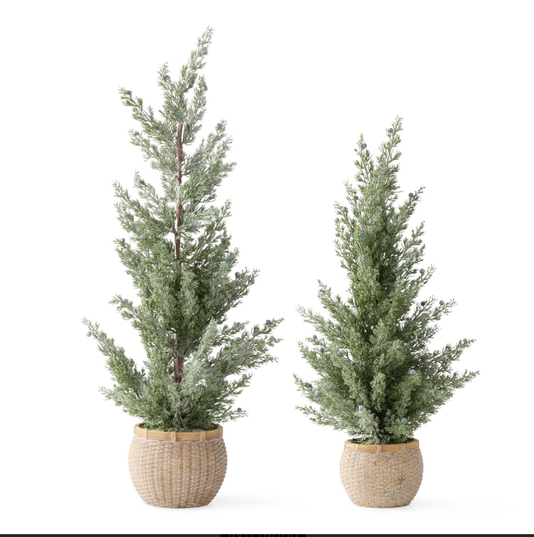 Frosted Juniper Trees w/Blue Berries In Ceramic Pot
