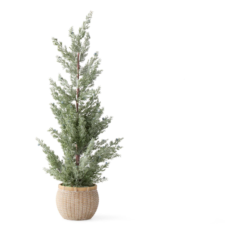 Frosted Juniper Trees w/Blue Berries In Ceramic Pot
