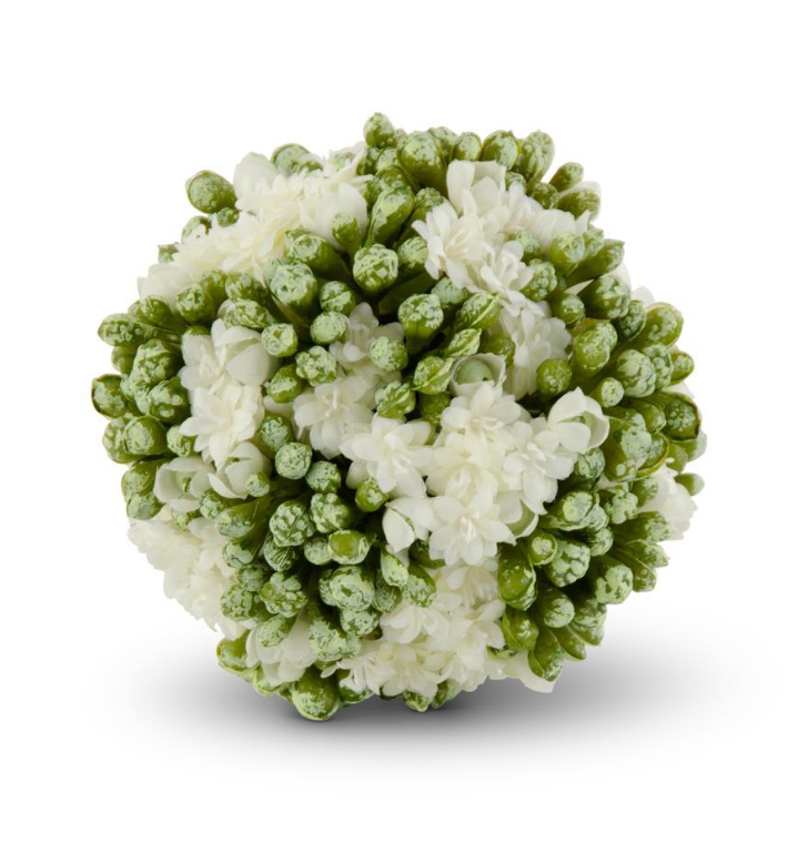 White Kalanchoe Ball