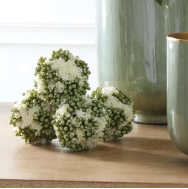 White Kalanchoe Ball
