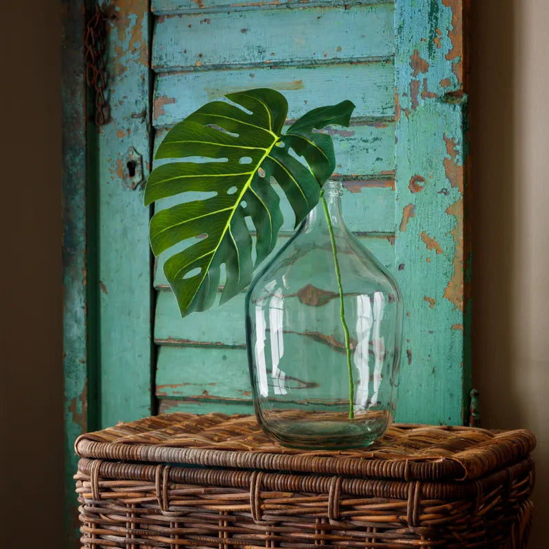 Green Monstera Leaf