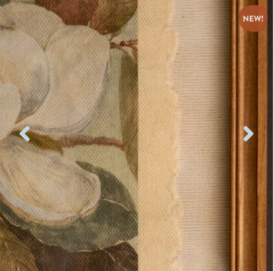 Set of 2 Framed Magnolia Prints Under Glass