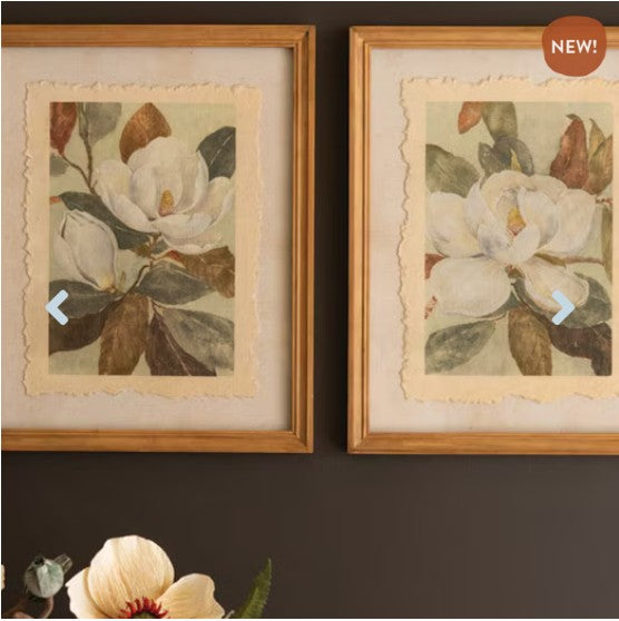 Set of 2 Framed Magnolia Prints Under Glass