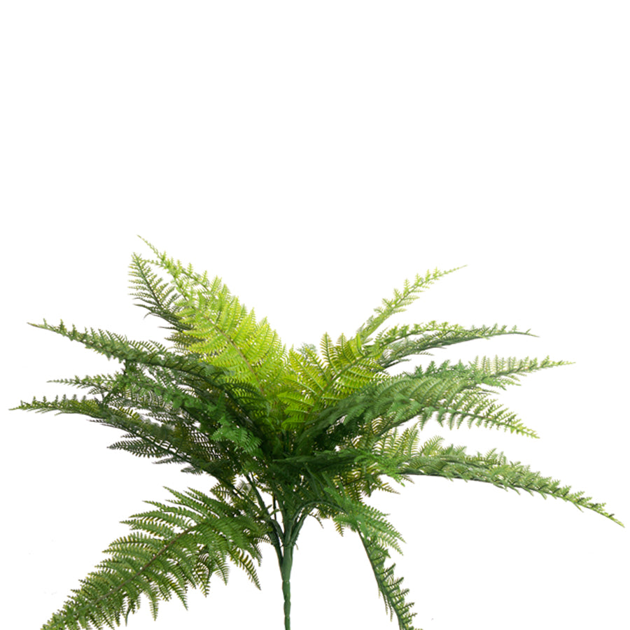 Medium Fern Stem