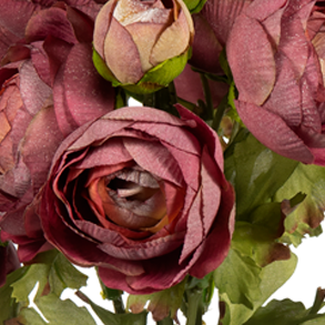 Ranunculus Bunch, Medium