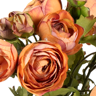 Ranunculus Bunch, Medium