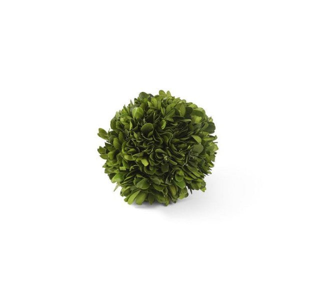 Preserved Boxwood Mini Ball
