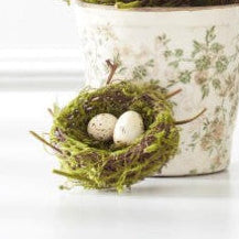 Bird Nest w/2 Eggs