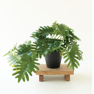 Artificial Mini Philodendron in a Black Plastic Pot