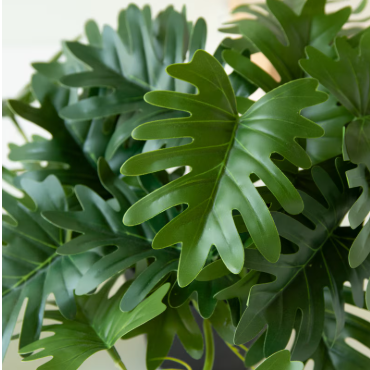 Artificial Mini Philodendron in a Black Plastic Pot