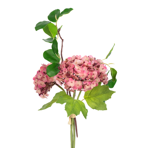 Viburnum Bundle