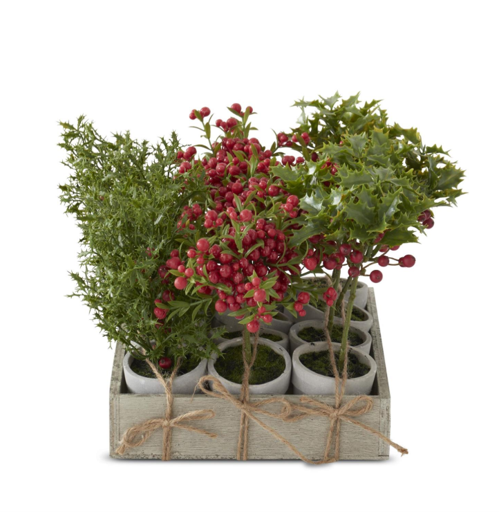 Potted Red Holly Berry