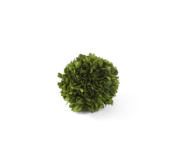 4 Inch Preserved Boxwood Mini Ball