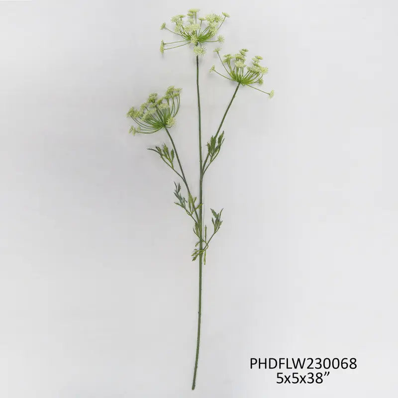 Estate Garden Queen Anne's Lace White