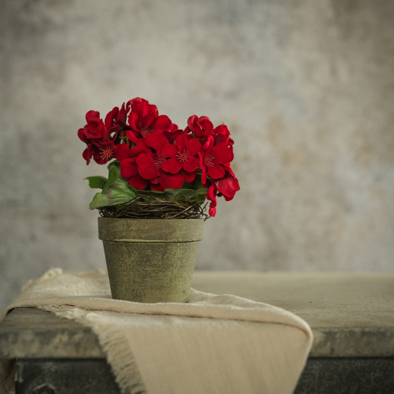 RED POTTED GERANIUM