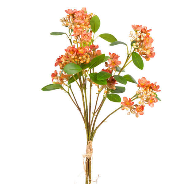 Blossom Stems