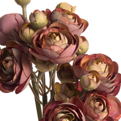 Ranunculus Bunch, Small