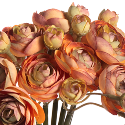 Ranunculus Bunch, Small