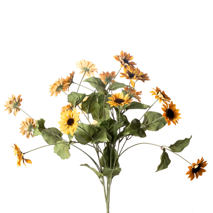Mini Sunflower Bush Gold