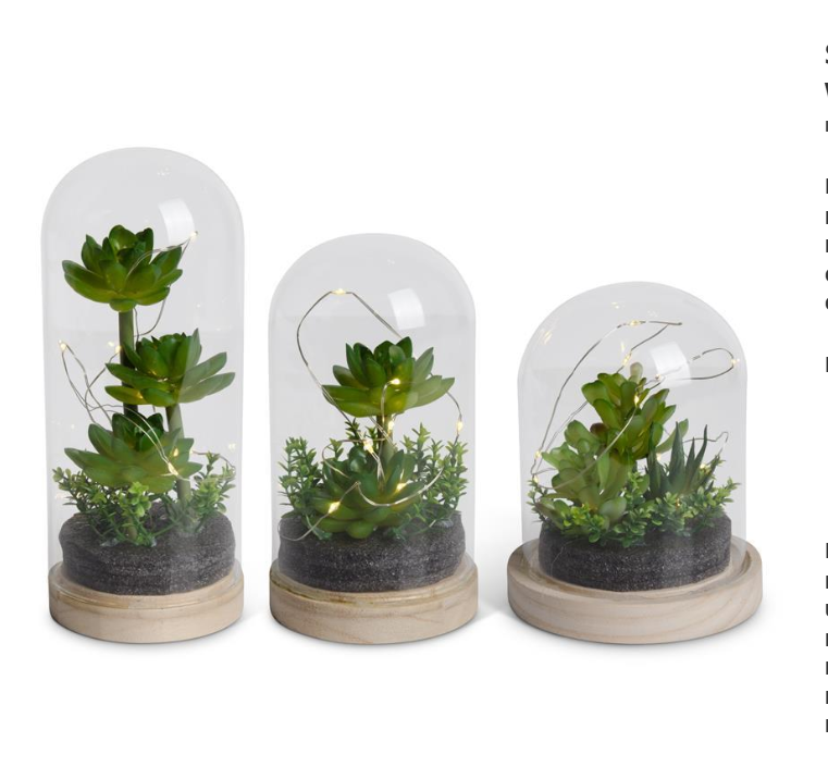 Dome LED Succulent Terrariums w/Timer