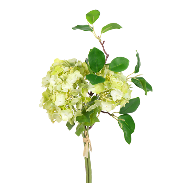 Viburnum Bundle