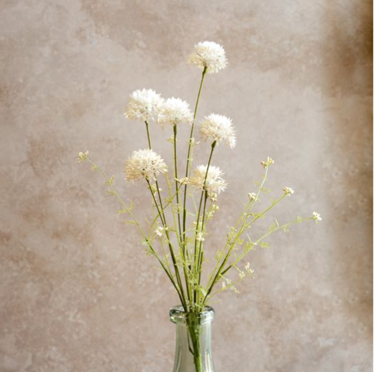 WHITE DANDELION SPRAY