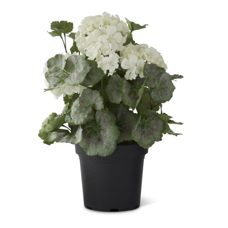 White Potted Geranium w/Faux Dirt